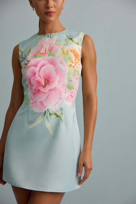 GRAPEVINE DRESS