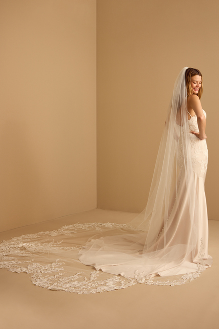 SHIMMERING ROSE VINE VEIL