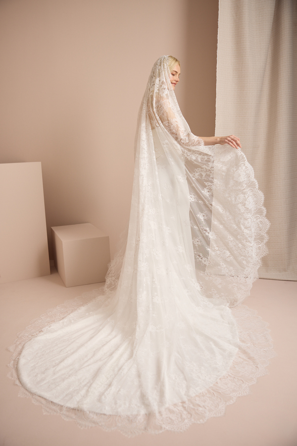 DELICATE CHANTILLY VEIL