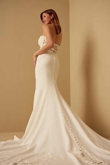 DELICATE DRESS