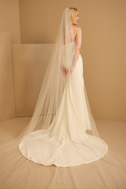 PEARL AND CRYSTAL VEIL